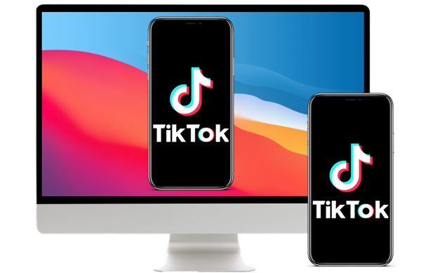 Watch TikTok on Computer