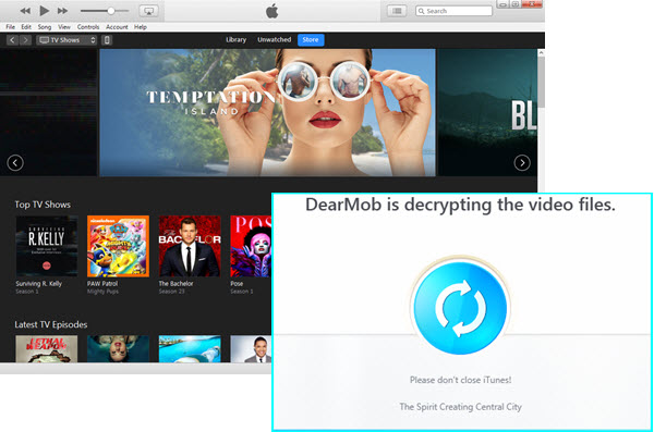 DearMob iPhone Manager removes DRM from videos