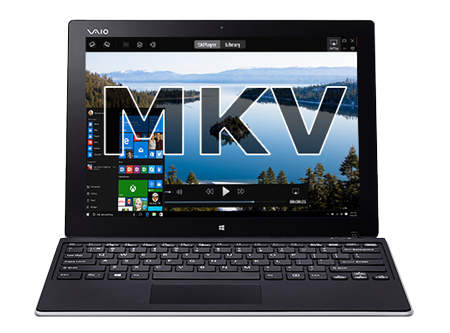 MKV codec for Windows Media Player