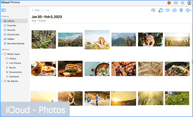 iCloud Photos UI