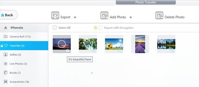 Transfer iPhone Photos to iPhone DearMob