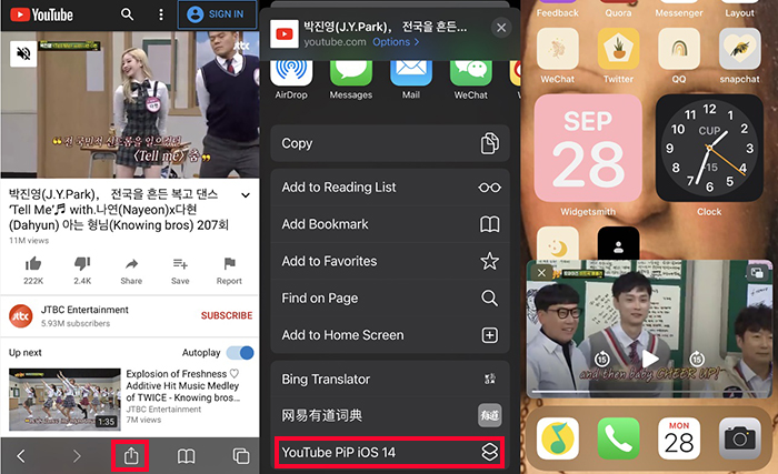 Fix YouTube Pip Not Working iOS 14