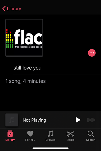 Play Flac Files on Apple Music iPhone