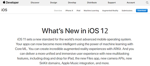 Download iOS 12 Dev Beta