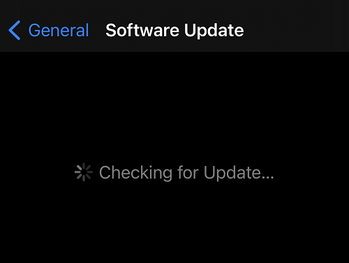 iOS 14 Update Not Showing Issue