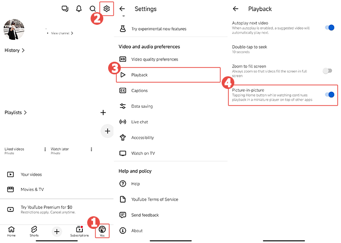 YouTube PiP Settings