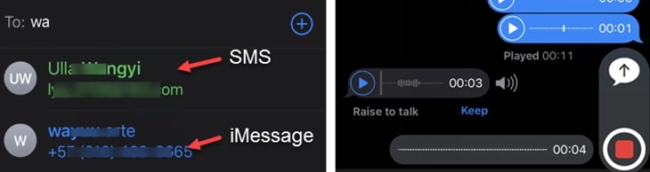 Audio Message Option Missing on iOS 13