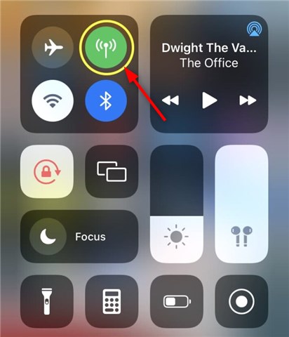 Check Cellular Data Settings