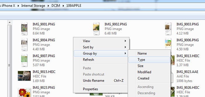 Sort videos by type in DCIM folders