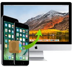 Sync Contacts from iPhone to Mac
