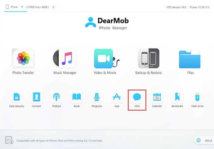 Open DearMob iPhone Manager