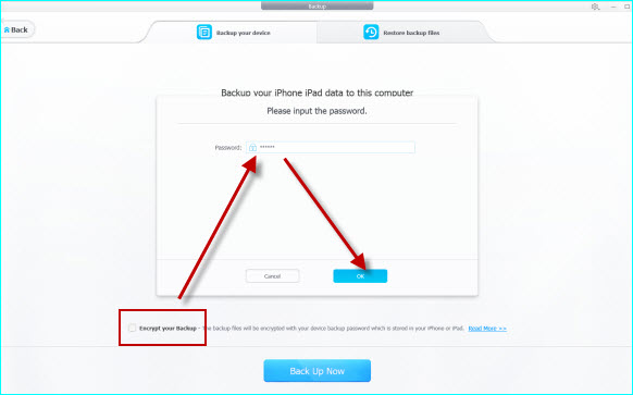 Decrypt iPhone Backup