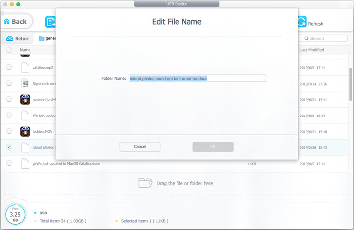 Export Files from iPhone USB Drive to Mac