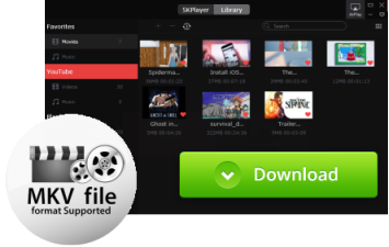 Free MKV Video Player