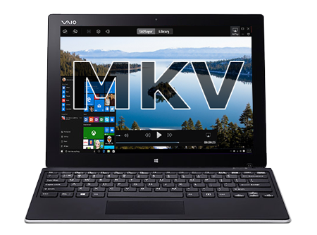 download windows media player mkv