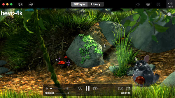 Play HEVC on Mac