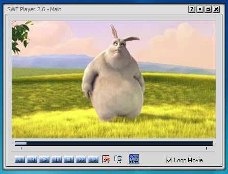 SWF Player – 5 Best Methods to Playback the SWF on Windows/Mac