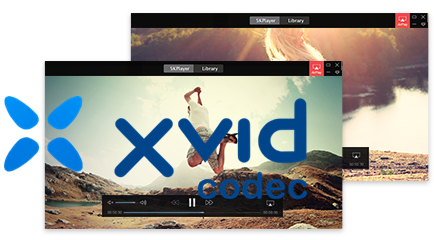 xvid mpeg4 video codec