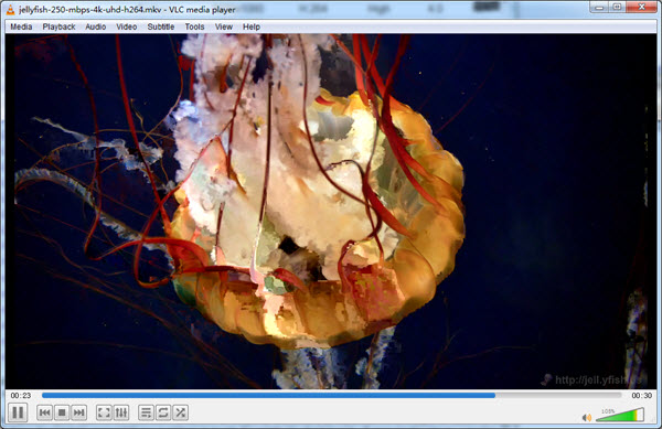 VLC Media Player MKV