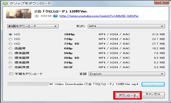 4k video downloader windows版