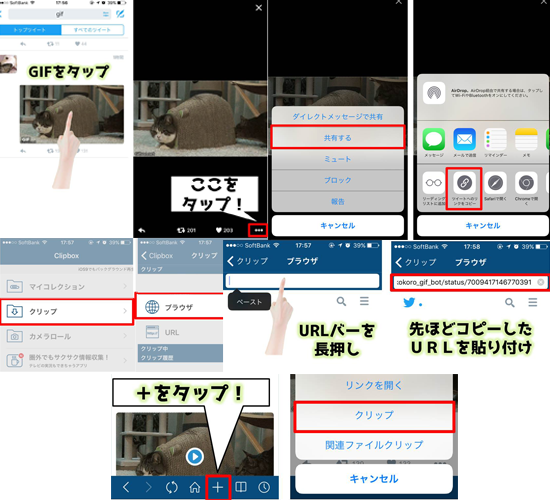 脱獄せずに Iphoneでgif動画保存する方法 Gif見れない問題を解決 Twitter Line