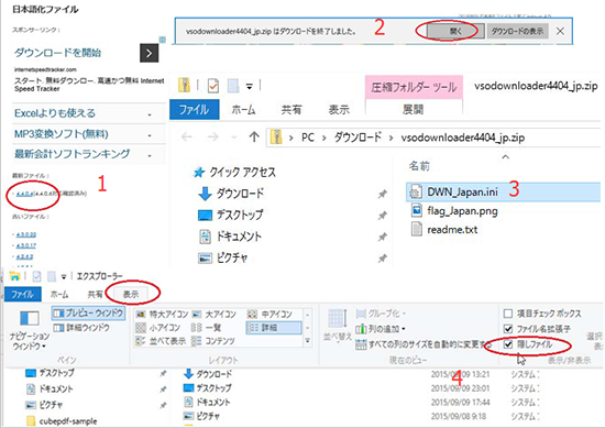 VSO Downloaderg