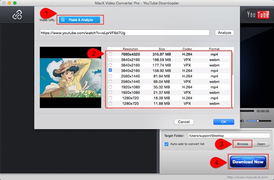 Anime Downloader and Converter