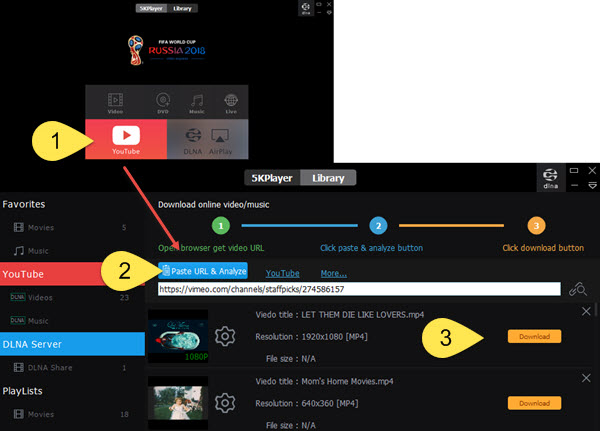 scaricare i video da Vimeo in MP4